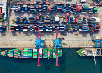 shipping bird eye