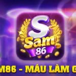 Cập nhật thông tin cơ bản về game bài đổi thưởng sam86 vip